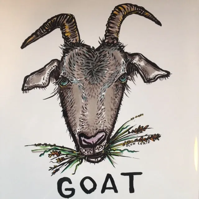 GOAT Art Print